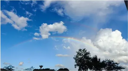 海口的雨2