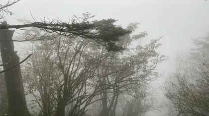 烟雨峨眉山4