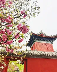 花满万寿寺