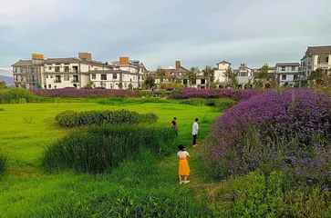 从小树林到洱滨村2