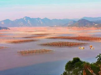 霞浦东壁村：行摄“海上牧场”2