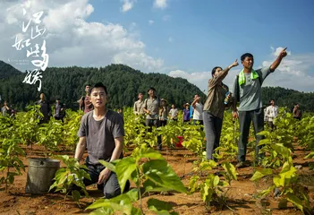 新时代农村青年要争做乡村振兴弄潮儿0