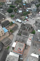 记住穷壤僻岭中枝繁叶茂的风景1