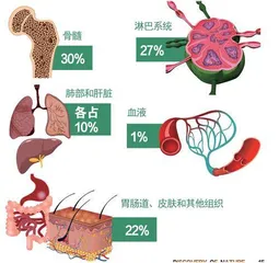 1千克的免疫细胞0