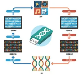 DNA存储2