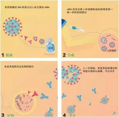 新疫苗或创生万灵药2