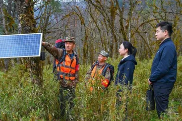 雅安：常态化保障“国之大者”落地见效