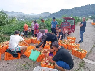 一个“落后村”的逆袭