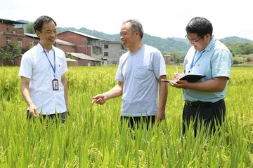 开江：精准监督 让乡村振兴跑出“加速度”