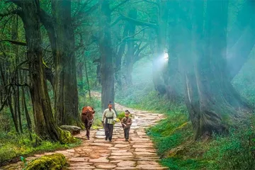 米仓道与金牛道上的红色交通线