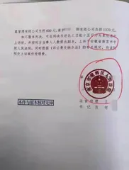 法院文书频现低级错误，所谓何事？