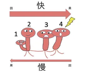 降雨会激发森林蘑菇之间的“交谈”1