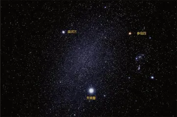 猎户座——星座之王6