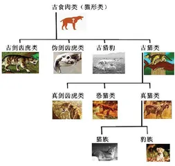 虎的前世今生4