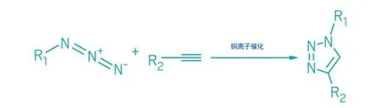 点击化学：科学家的“系扣”游戏2