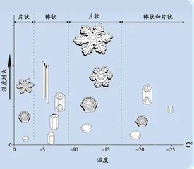 雪花不只有六边形片状的0