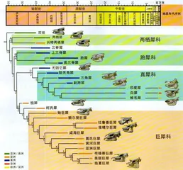 穿越青藏高原的史前巨兽6