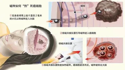 气候变化或导致鸟类体形变小7