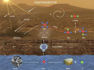 气候变化或导致鸟类体形变小8