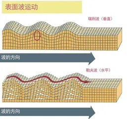 触觉研究将改变我们的生活6