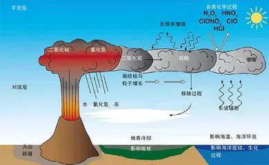 汤加火山喷发及其影响5