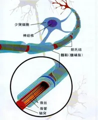 精制碳水8