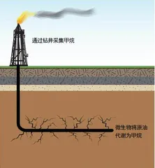 变油为气，“榨干”废弃油田0