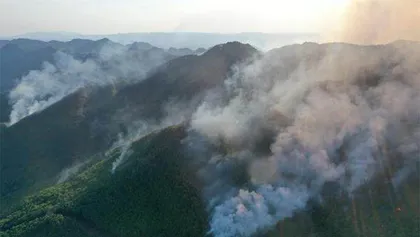 极端高温爆发气候危机时代来临4