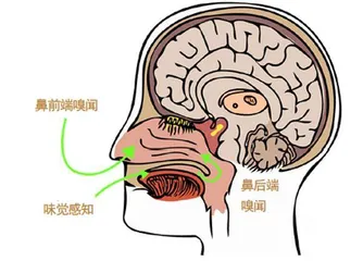 臭东西能有什么好吃的1