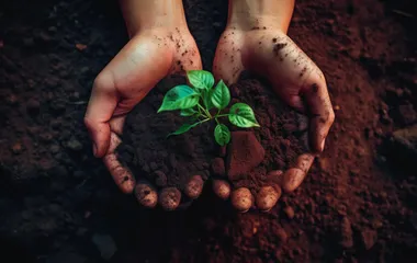 “毒土地”里的萘和苯并芘0