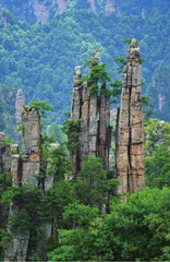 “峰林之王”天子山