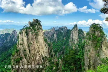 “峰林之王”天子山4