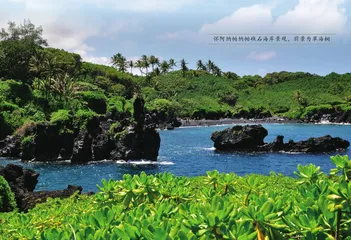 夏威夷海岸：檀岛魅影