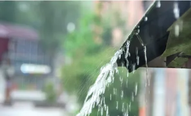 苏东坡笔下的雨是啥雨