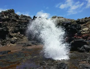 夏威夷海岸：檀岛魅影5