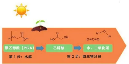 煤基PGA：莫问出身看表现0