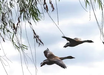 为何机场饮水处的纸杯是锥形的