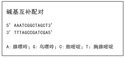 RNA：药物开发的“新钥匙”2