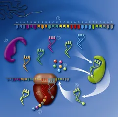 RNA：药物开发的“新钥匙”3