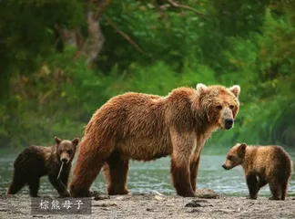 夏尔希里鲜为人知的神秘净土0