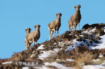 夏尔希里鲜为人知的神秘净土1