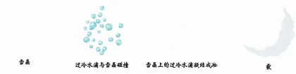 红楼“雪珠儿”趣解