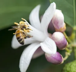 全球生物多样性保护未达标1