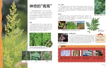 认识植物的“武林秘籍”1