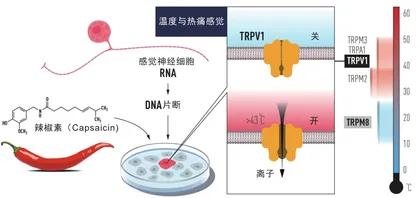 人是如何感知外部世界的2