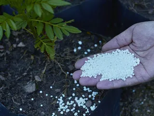 二氧化碳可以这样用（下）