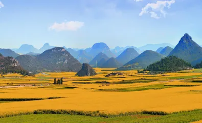 十处花海的别样“花情”（上）