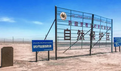 中国的沙漠与沙地（下）0