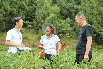 达州：破解农村集体“三资”监督难题夯实农业经济“压舱石”0