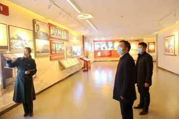 以“三不”一体推进战略推动纪检监察工作高质量发展0